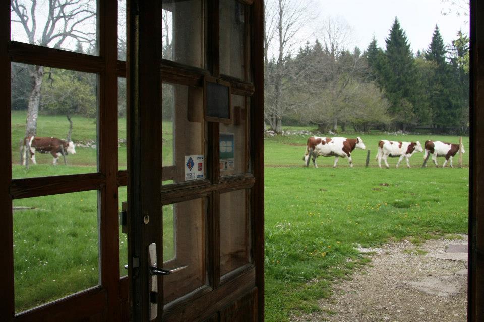 Auberge De La Perdrix Hauterive-la-Fresse エクステリア 写真