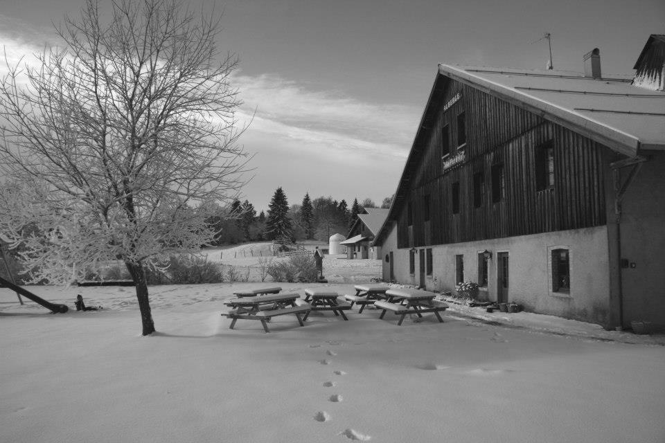 Auberge De La Perdrix Hauterive-la-Fresse エクステリア 写真