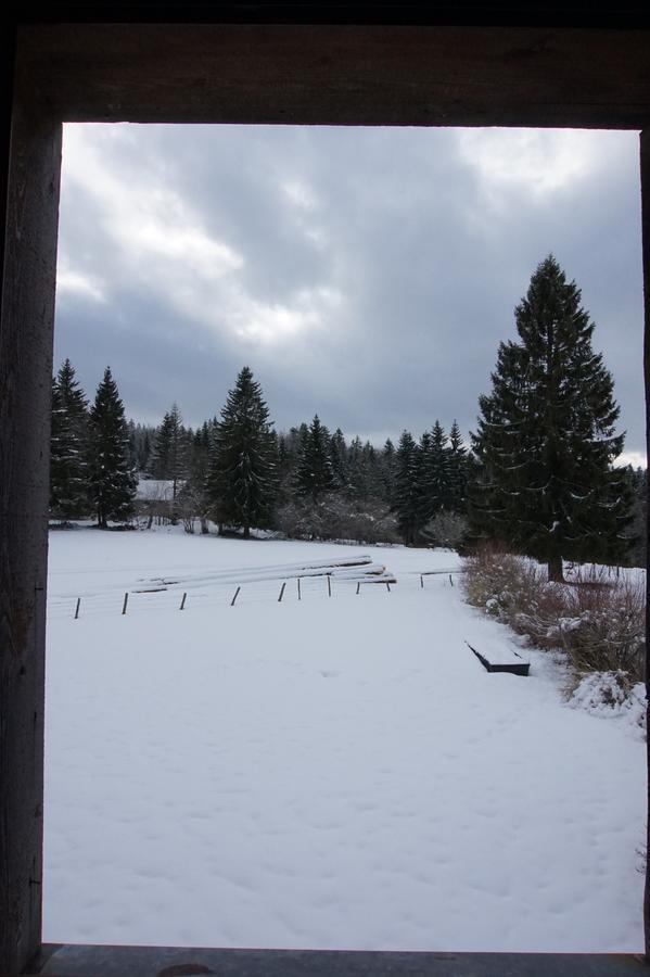 Auberge De La Perdrix Hauterive-la-Fresse エクステリア 写真